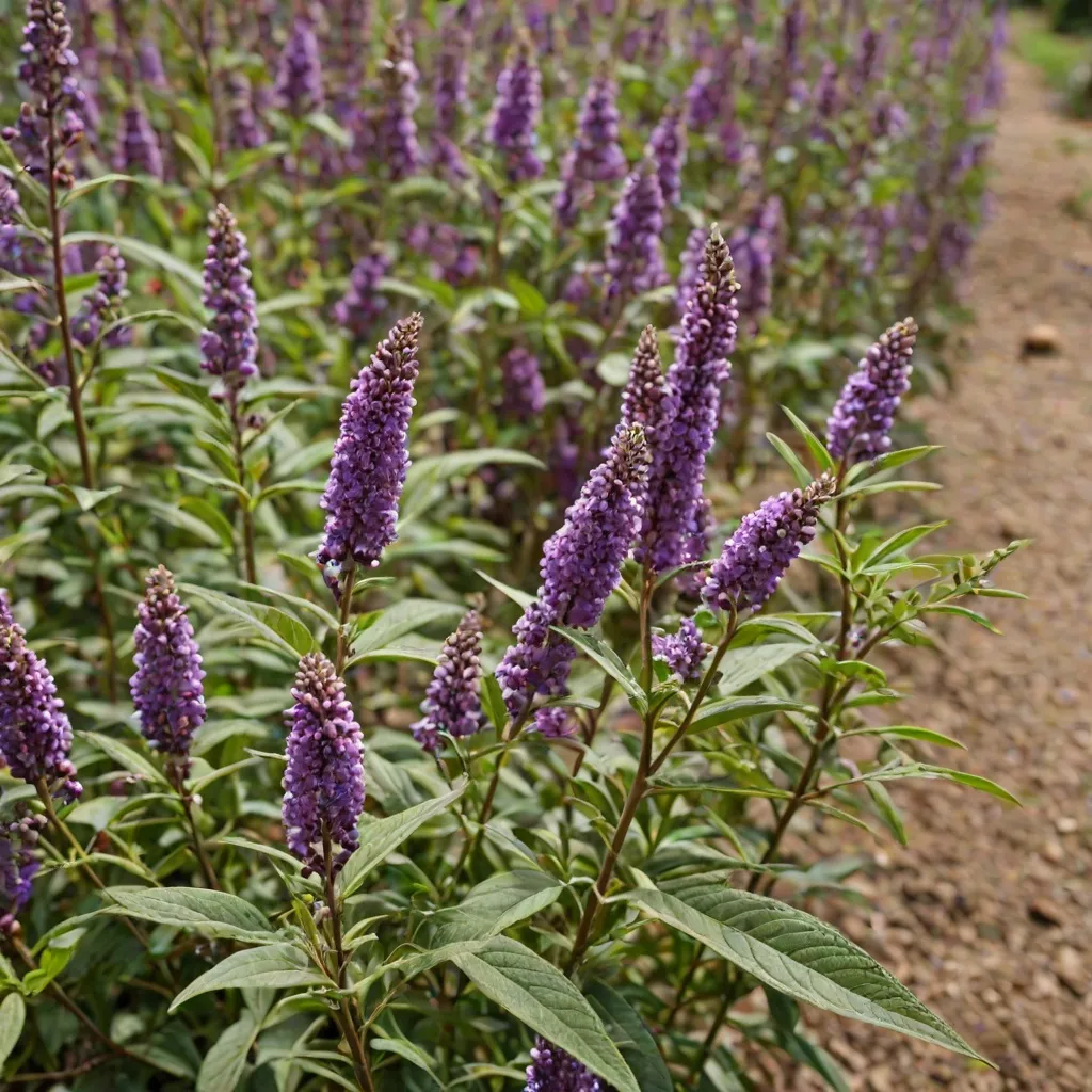 Nawóz do budlei: Kiedy i jak go stosować?