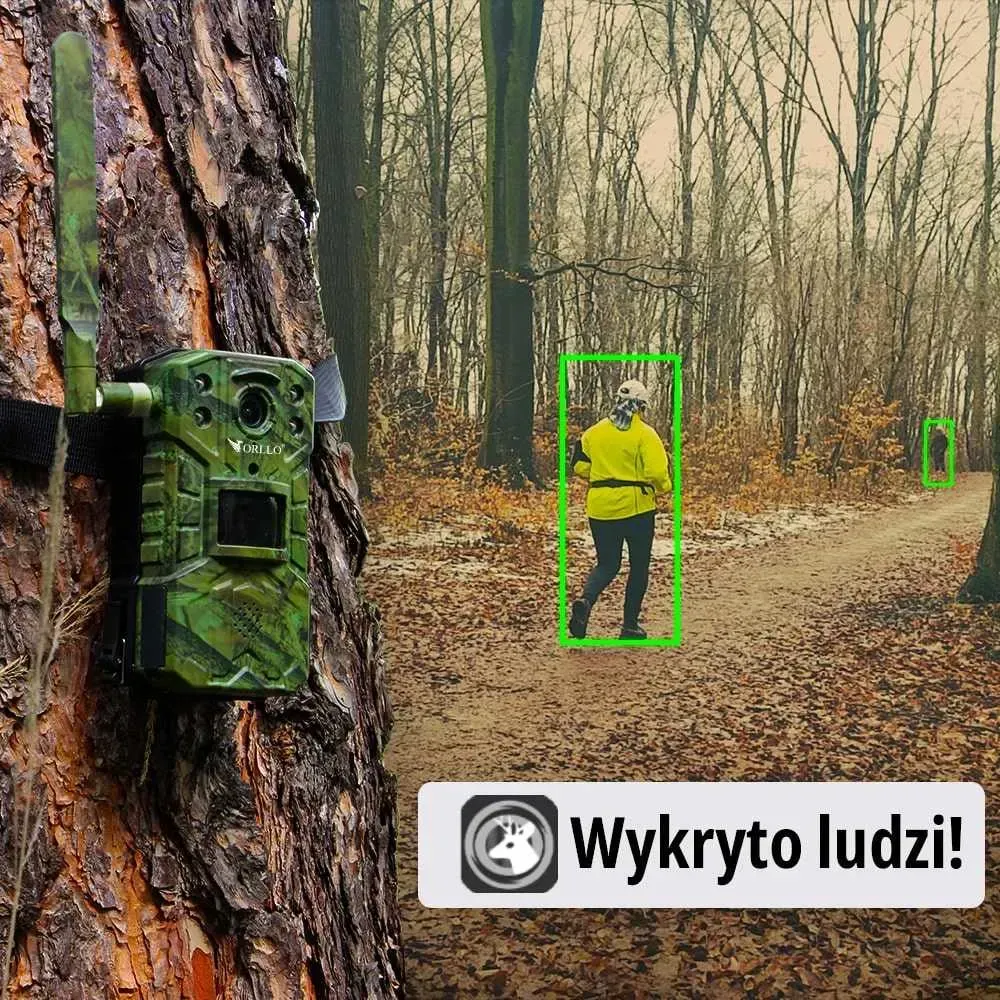 Fotopułapka