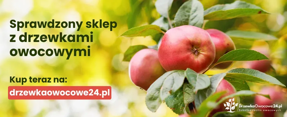 baner, sklep z drzewkami owocowymi
